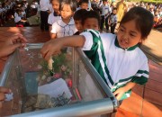 Quyên góp ủng hộ HS bị bệnh U Gan ác tính Quyên góp ủng hộ HS bị bệnh U Gan ác tính